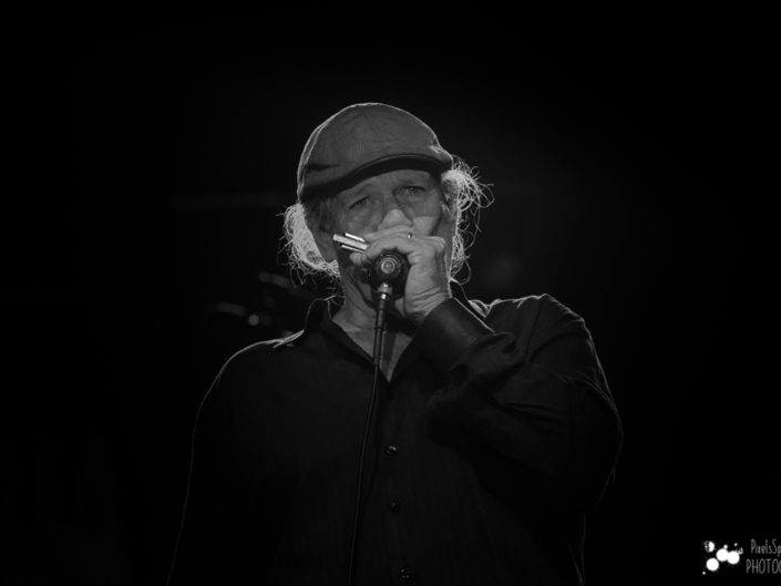 Dale Spalding