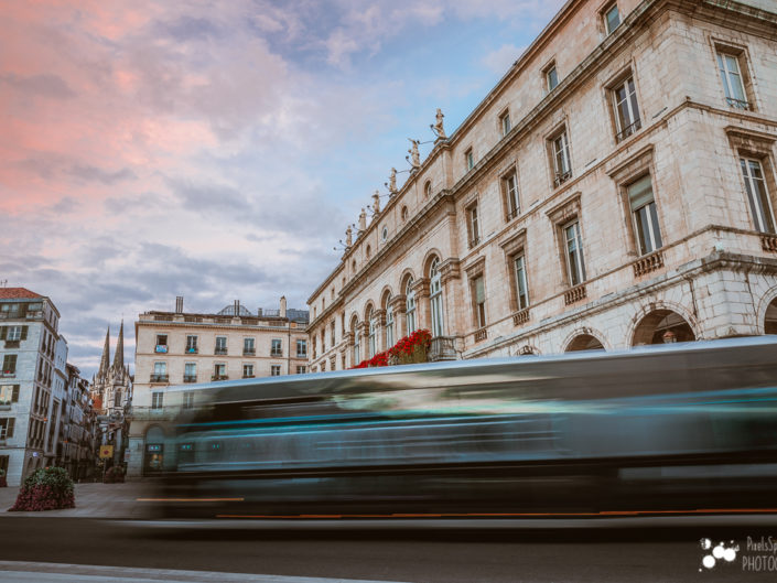 Tram-bus