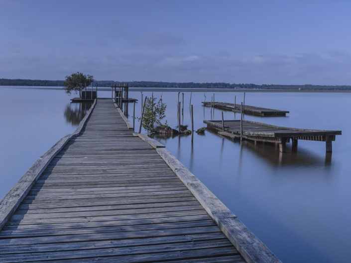 Au bord de l'étang