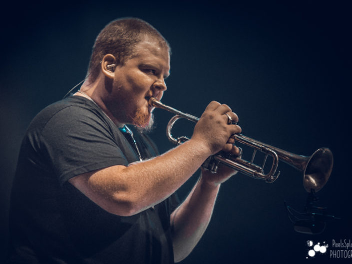 Too Many Zooz