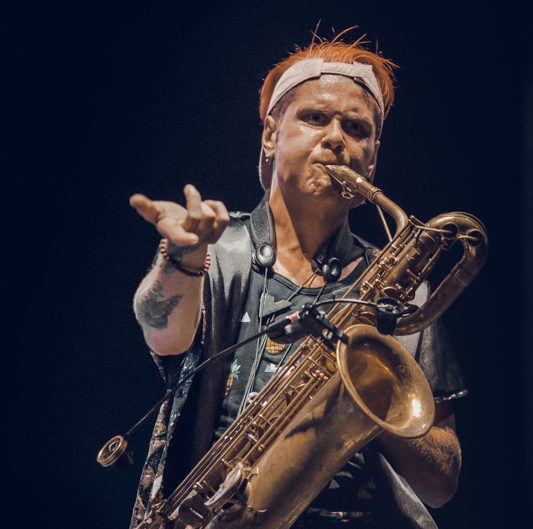 Too Many Zooz