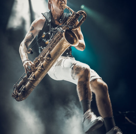 Too Many Zooz