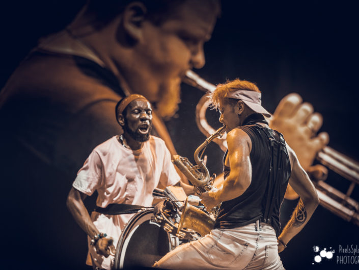 Too Many Zooz