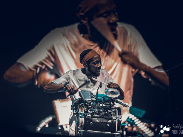 Too Many Zooz